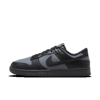 Nike Dunk Low Retro SE winterschoenen voor heren - Zwart