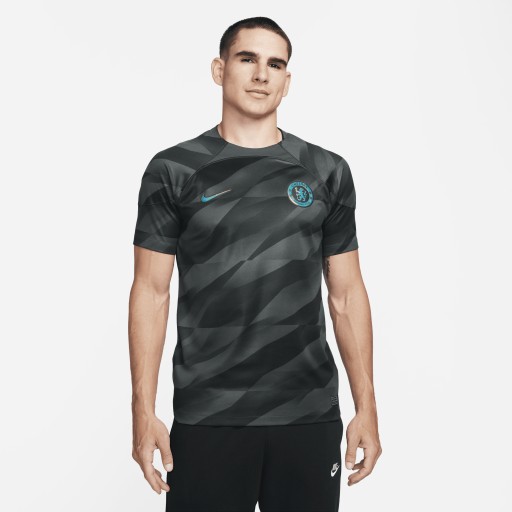 Chelsea 2023/24 Stadium Goalkeeper Nike Dri-FIT voetbalshirt met korte mouwen voor heren - Grijs