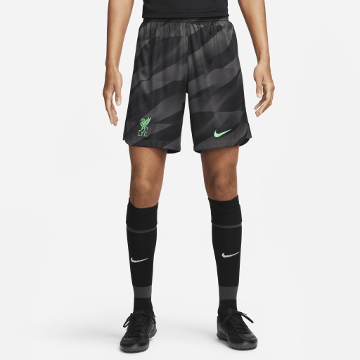 Liverpool FC 2023/24 Stadium Goalkeeper Nike Dri-FIT voetbalshorts voor heren - Grijs