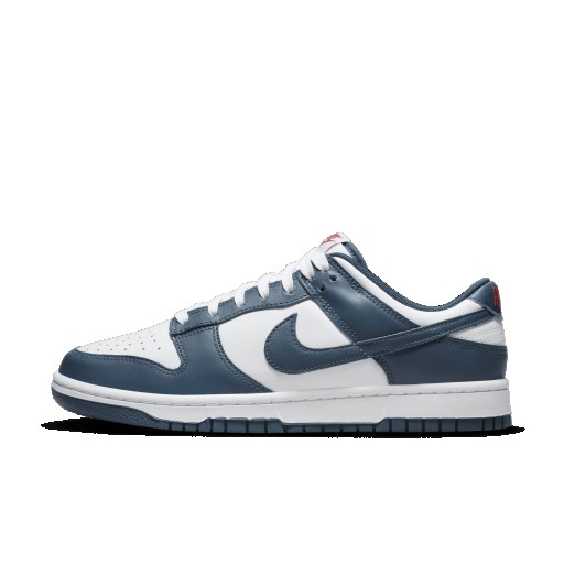 Nike Dunk Low Retro Herenschoen - Blauw